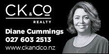 Diane Cummings - CK & Co Realty